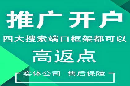 竞价广告端口开户的典型案例剖析